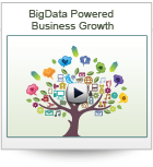 Bigdata Powered Business Growth Bigdata Powered Business Growth
