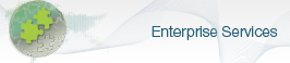 Enterprise Services for Government